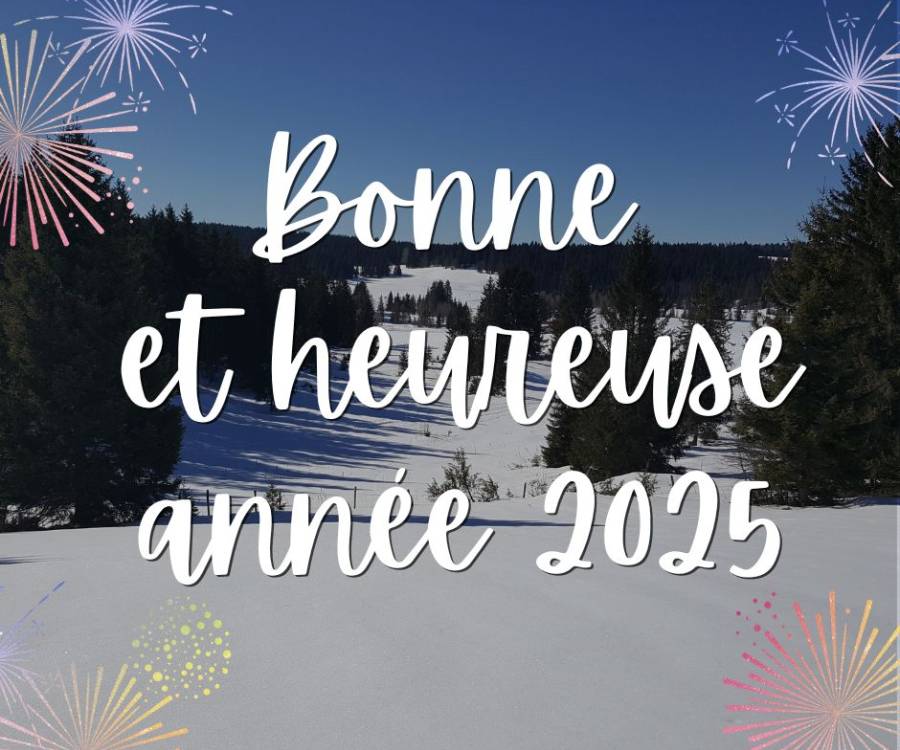 Bonne année 2025 !