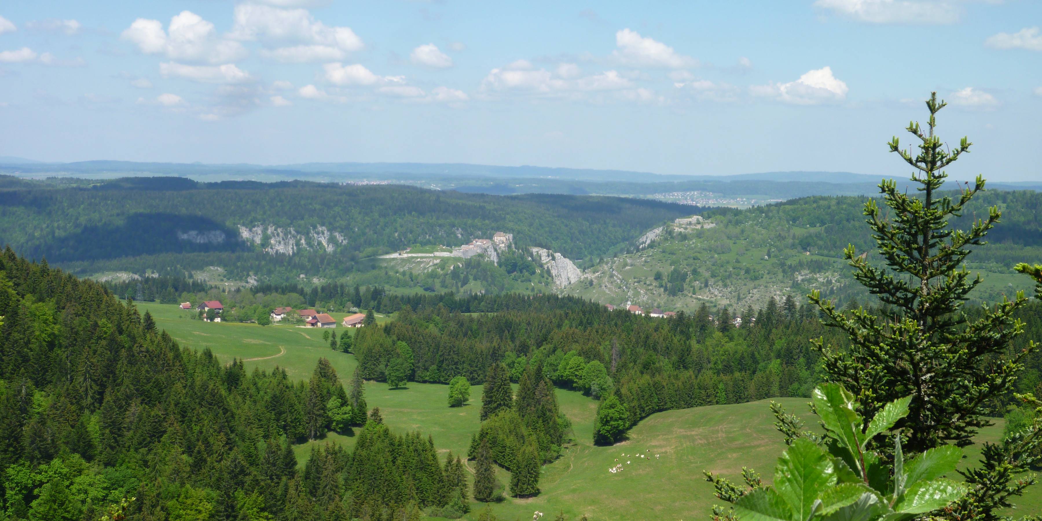 Rando - La Roche Sarrasine