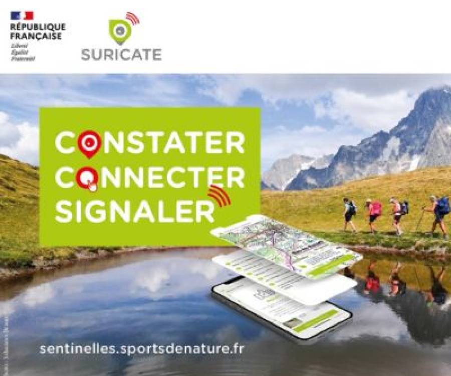 Suricate, l'application de signalements